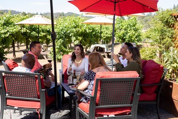 Spring 2025 Wine Club Pick Up Party Guest Ticket