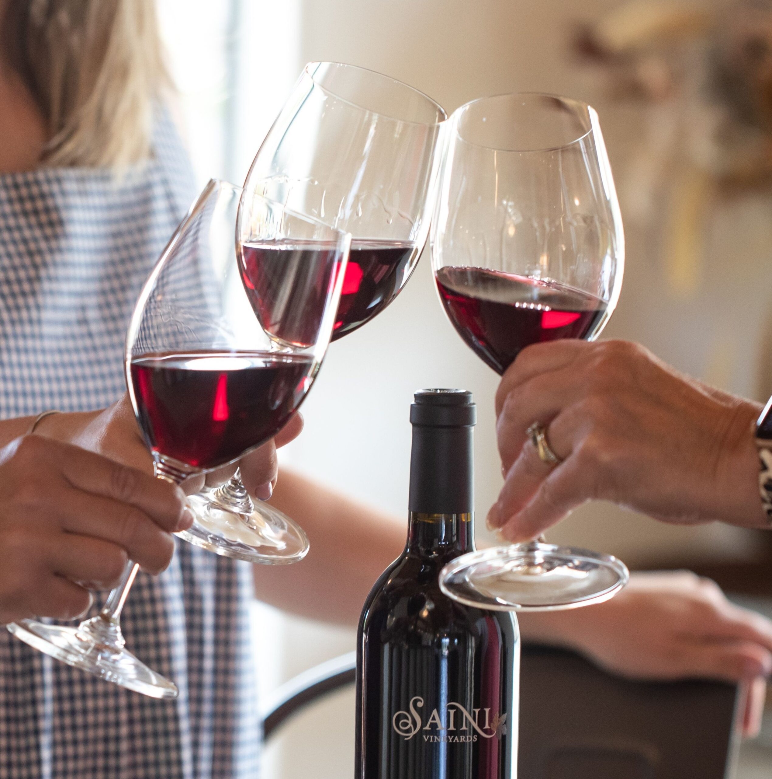 Three people clinking glasses of red wine at Saini Vineyards.